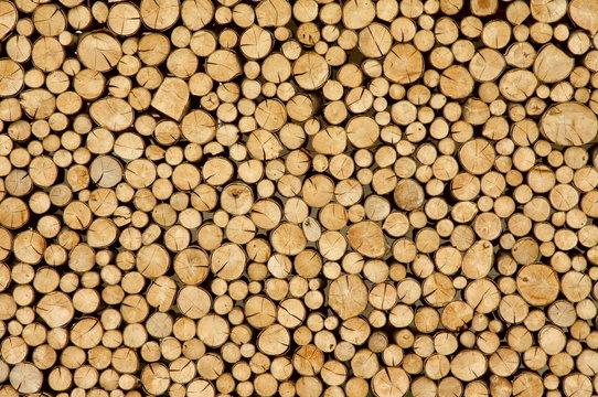 Holz vor der Hütten