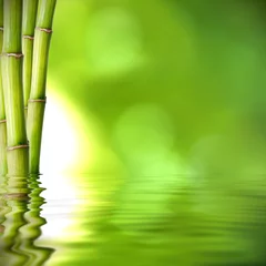 Foto auf Acrylglas Bambus grüne Bambusstämme auf dem Wasser