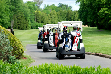 Golf carts - 42031080