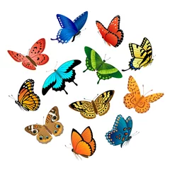 Crédence de cuisine en verre imprimé Papillon Papillons volants