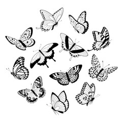 Obraz premium Flying black & white butterflies