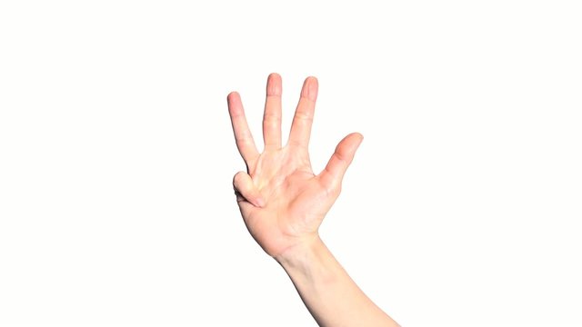 five fingers