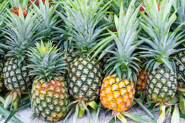 Pineapple