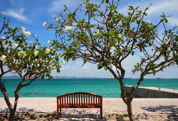 Fototapeta na wymiar beach and chair in tropical island scenic