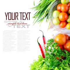 Tomatos, chives, garlic, red chili, lettuce and parsley on white