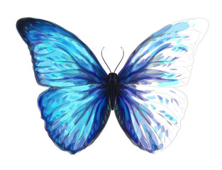 Butterfly  Morpho Anaxibia. Unfinished Watercolor drawing imitat