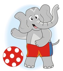 Elelphant and ball