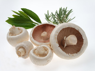 champignons de Paris
