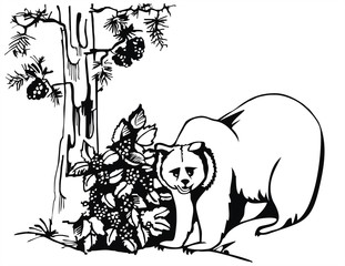 artistic sketch - bear in the forest with pine