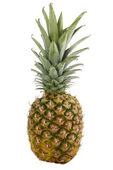 Obraz premium ripe pineapple isolated on white background