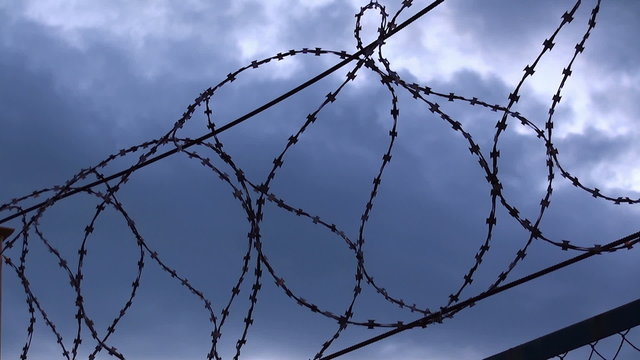 barbed wire