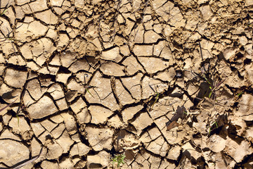 Cracked earth