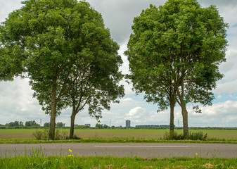 Highrise seen from the countryside