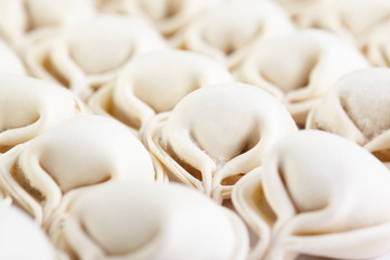 Traditional Russian cuisine. Pelmeni