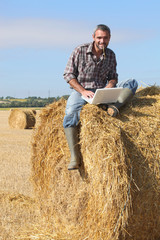 Naklejka na ściany i meble Farmer z laptopa siedzi na stogu siana