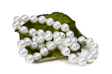 Pearl necklace on rose leaf