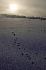 Winterlandschaft mit Spuren