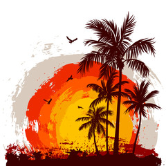 Tropical sunset - 42054428