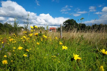 Brantestad, Småland