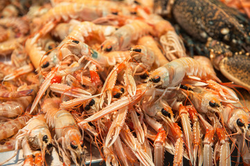 langoustines at fish market