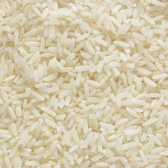 White long rice background, uncooked raw cereals, macro closeup