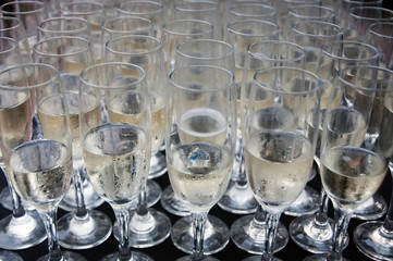Champagne Glasses