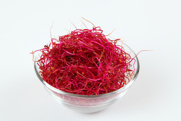 Rote Beete Sprossen