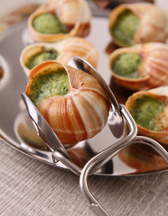 bourgogne snails
