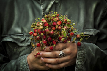 wild strawberries