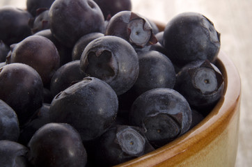 freshly picked blueberries in a bowl