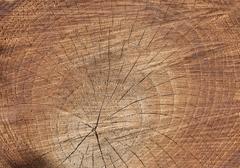 Naklejka premium tło drewna