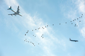 Flying geese and passing aircrafts
