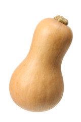 Butternut Pumpkin