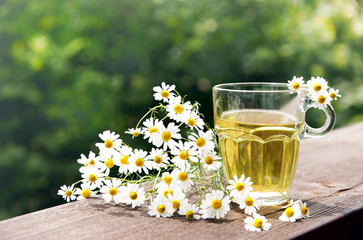 Kamillentee, Chamomile tea, Kamillenblüten, Textraum, Copyspace