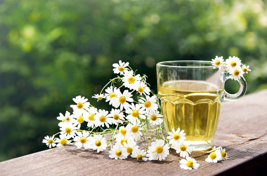 Kamillentee, Chamomile tea, Kamillenbl&uuml;ten, Textraum, Copyspace