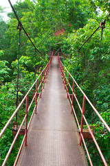 hanging wooden bridge