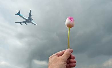 Plane flying over a tulip