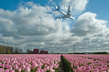 Photo sur Plexiglas Tulipe Plane flying over a field of tulips