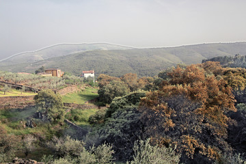 Casas en plena naturaleza