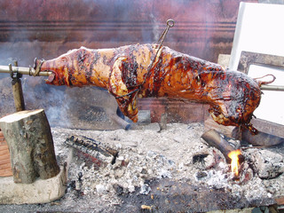 Grilled suckling pigs