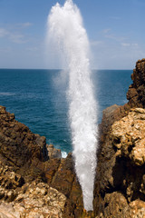 top of nature water fountain in ocean - blow hole, Sri Lanka