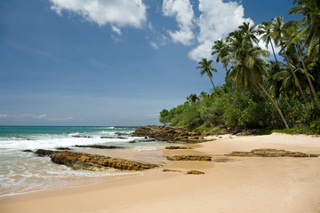 Tropical paradise with trees on beach against blue sky with clo