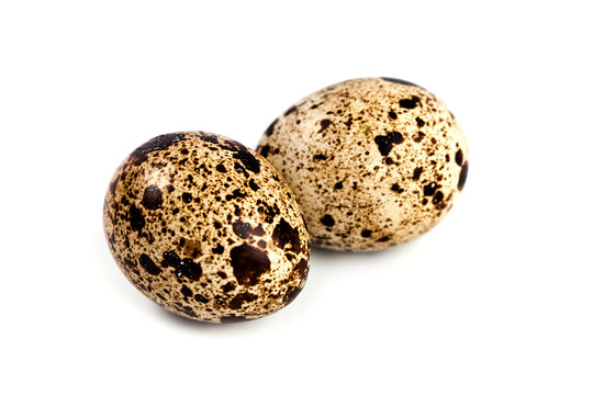 two quail eggs