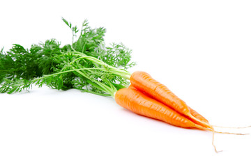 fresh carrot with green leaves