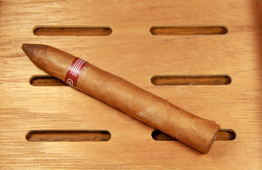 Cuban cigar