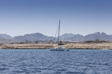 Catamaran Sailing Of The Coast Of Sharm Egypt
