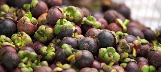 Mangosteen fruits