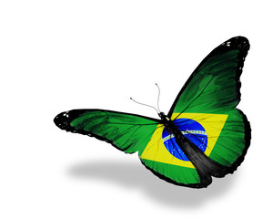 Brazilian flag butterfly flying, isolated on white background