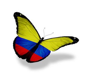 Colombian flag butterfly flying, isolated on white background