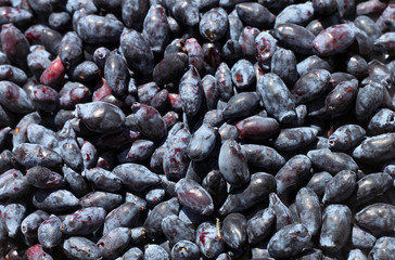 Ягоды жимолости съедобной (лат. Lonicera edulis)